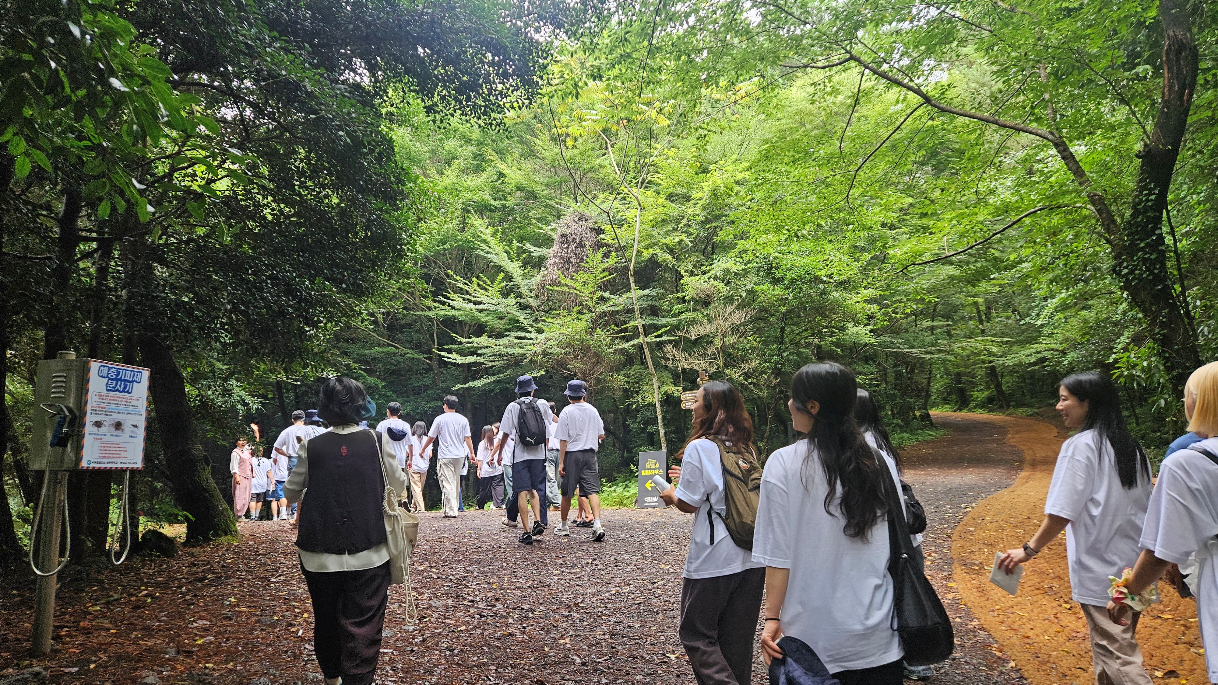 치유의숲_5.jpg